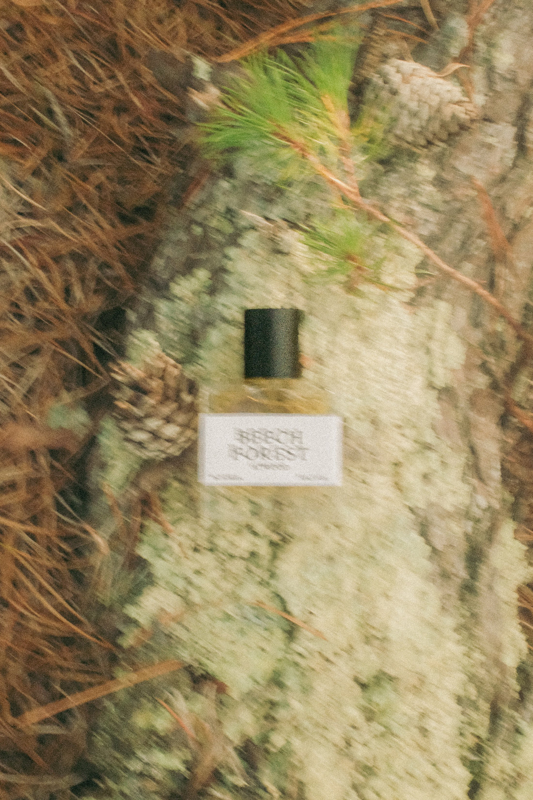 Beech Forest - Atwood Parfum