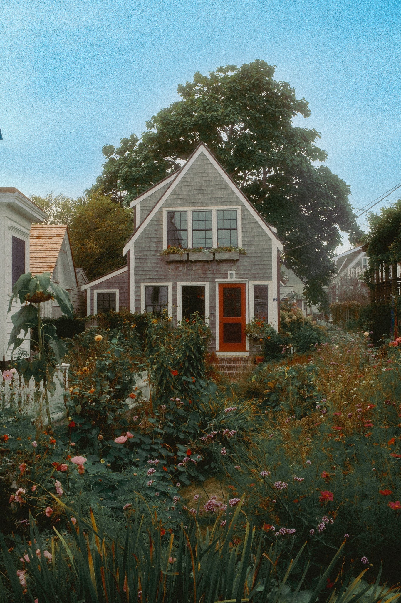 Saltbox - Atwood Parfum