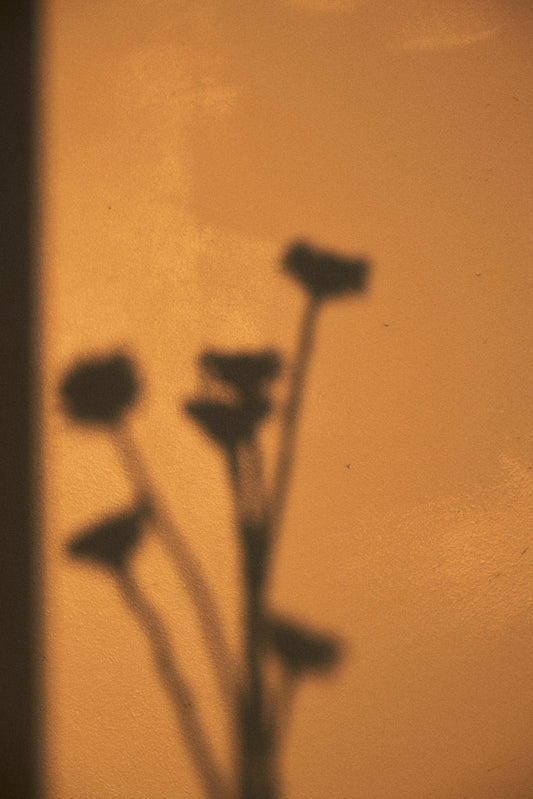Analog