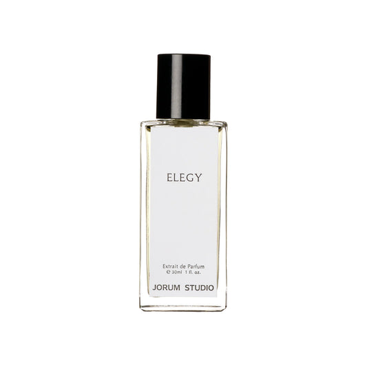 Elegy