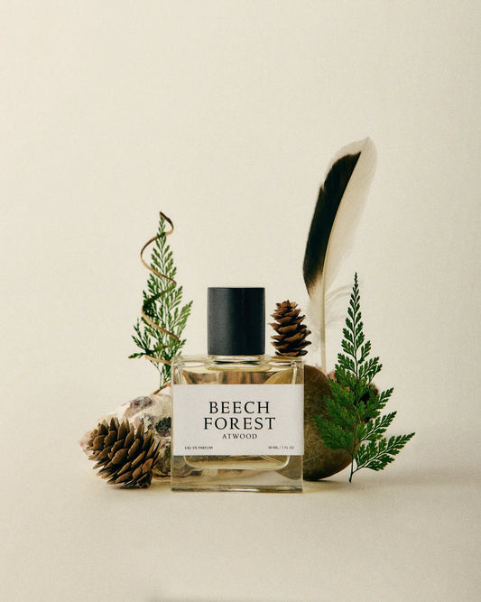 Beech Forest