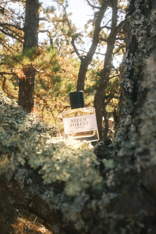 Beech Forest - Atwood Parfum